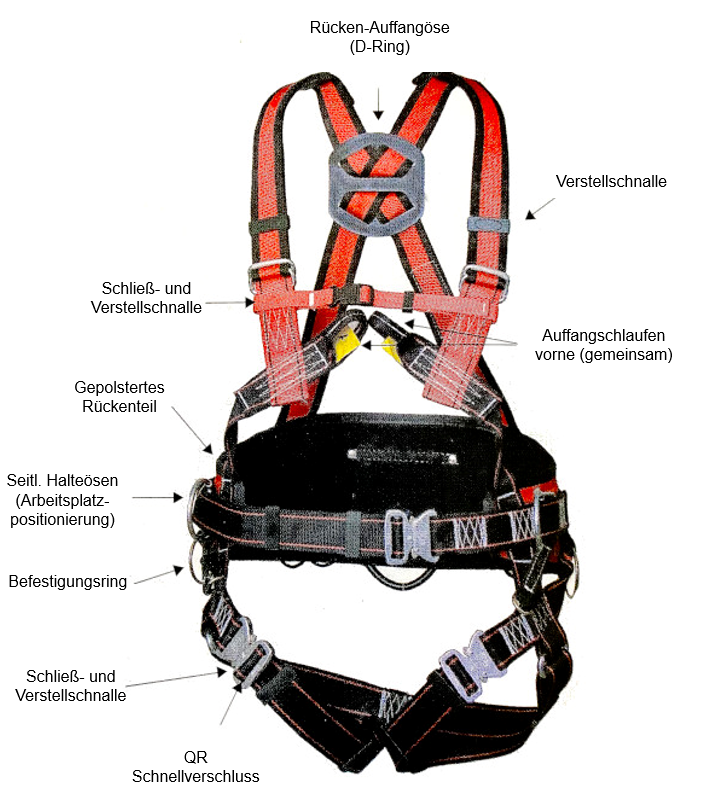 AFG EN 358 / EN 361 mit D-Ring hinten 2 Schlaufen vorne